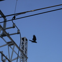 46233d7c.JPG