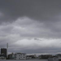 492b3406.JPG