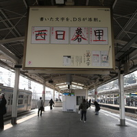 50f7ab41.JPG