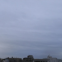 54d379e4.JPG