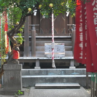 57b9603f.JPG
