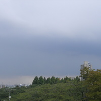 5b293f02.JPG