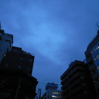 62537b0d.JPG