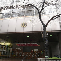 89fedeaa.JPG
