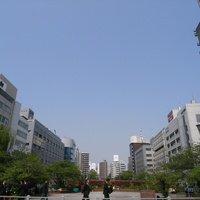 8f977a7b.JPG