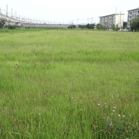 a31cdd2e.JPG
