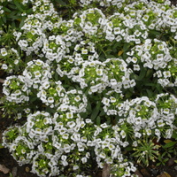 b14a0571.JPG
