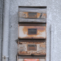 c1e781b5.JPG
