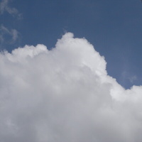 c6c5cd19.JPG