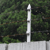daae0831.JPG