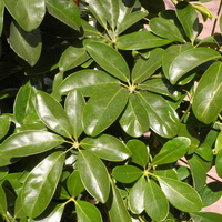 e6687f6e.JPG