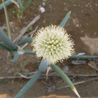 e76080c7.JPG