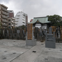 ef8c3494.JPG