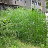 f4574230.JPG