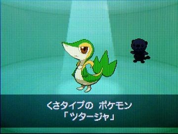 ポケモンBW006ツタージャ★