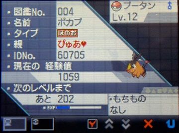ポケモンBW011ポカブ★