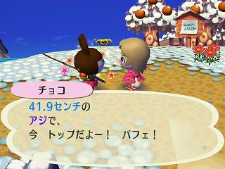 �ɤ��֤Ĥο������������祳��