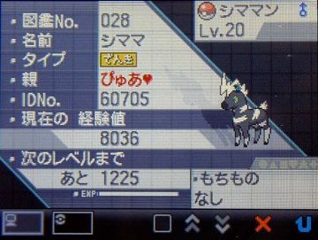 ポケモンBW020シママ★