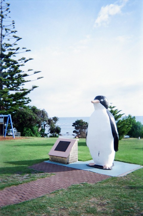 055ペンギン村