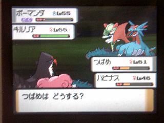 ぴゅあの部屋ライブドア版 ポケモン日記８４ リゾートエリアに到着 Livedoor Blog ブログ