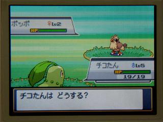 �ݥ�����䣰�����ݥåݡ�