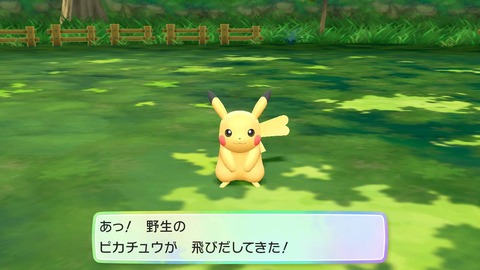 ピカブイ019野生のピカチュウ