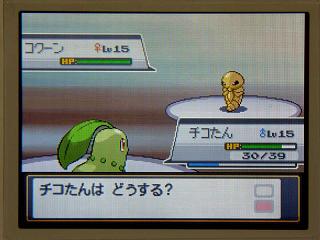 �ݥ�����䣰�������������