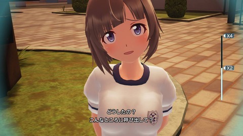 ぎゃるがん2NS049