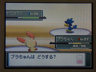 ポケモンプラチナ日記７ ミオシティのトウガン ぴゅあの部屋ライブドア版