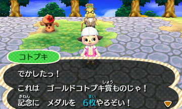 HNI_0074ゴールドコトブキ賞★