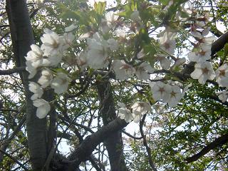 �����㥢�å�