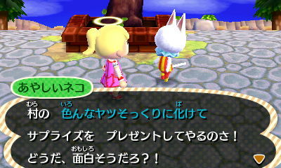 HNI_0029あやしいネコ★