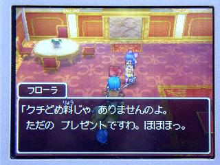 ドラクエ９日記３３ フローラがやってきたよ ぴゅあの部屋ライブドア版