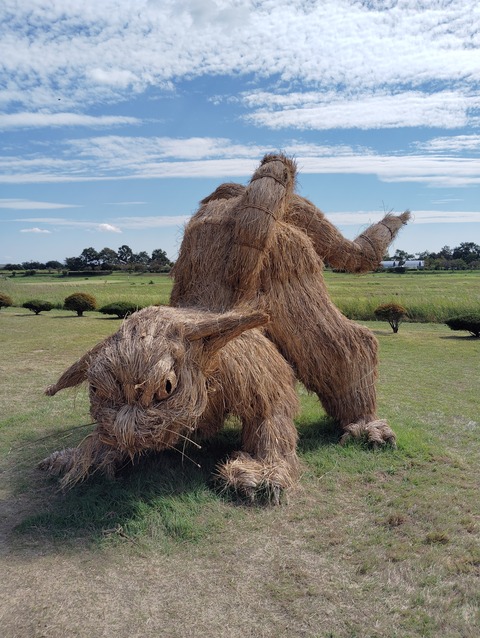 IMG_20241002_112810★