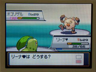 �ݥ�����䣰���������ꥶ���