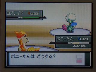 ポケモンプラチナ日記２ ２人目のジムリーダー ぴゅあの部屋ライブドア版