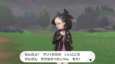 ポケモン剣盾061