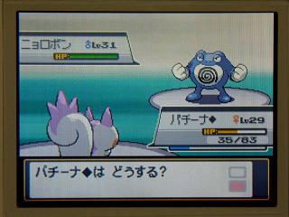 �ݥ�����䣰�����˥���ܥ��