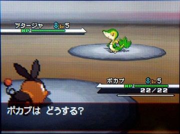 ポケモンBW008VSツタージャ★