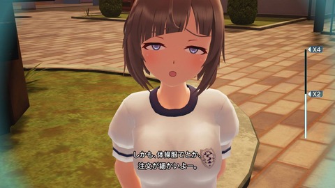 ぎゃるがん2NS050
