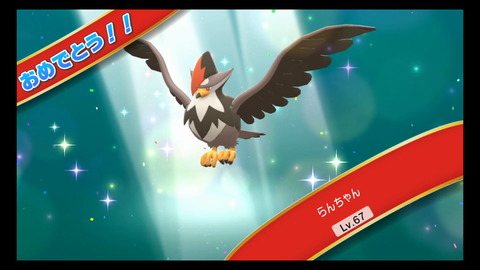 �ݥ����ED�������������