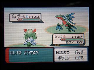 ポケモンER042ジュプトル★