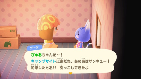 あつ森117★