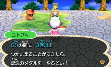 HNI_0070チョウチョ発見★