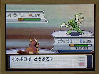 �ݥ�����䣰�������ȥ饤����