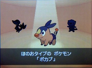 ポケモンBW005ポカブ★