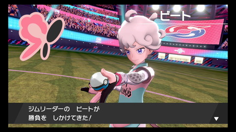 ポケモン剣盾03 ビート戦画像