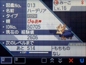 ポケモンBW019ハーデリア★