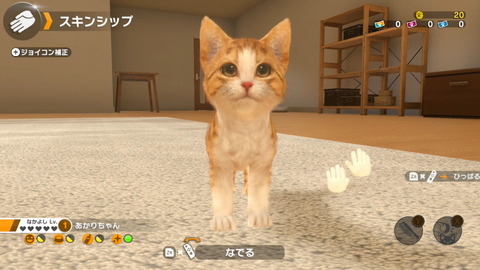 ��Switch�ۥ�ȥ�ե���θ��ǡ�LITTLE FRIENDS DOGS & CATS��