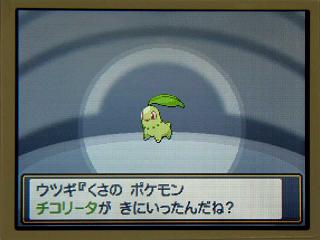 �ݥ�����䣰���������꡼���˷����